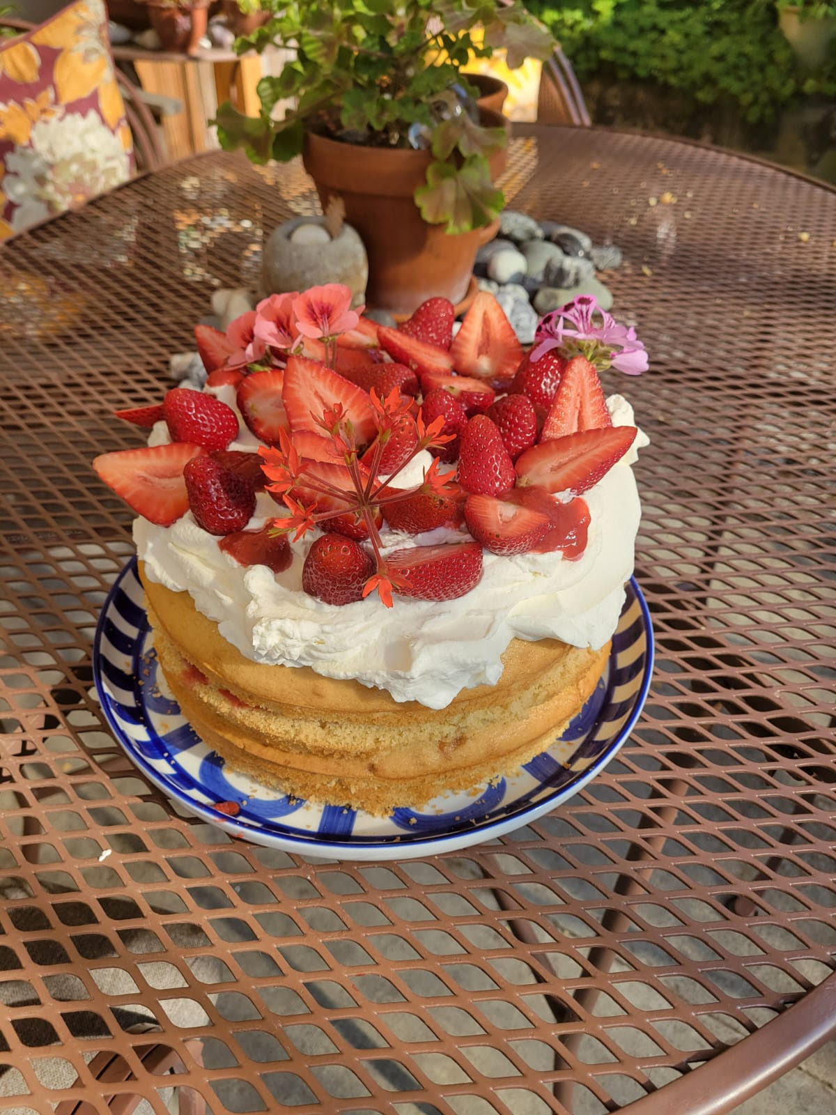 highbrow hedonist work